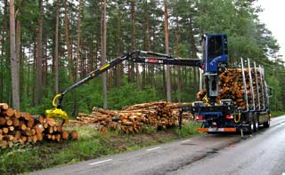 Wood loading