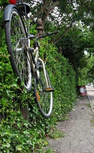 Parking - allowed unless the fence is painted